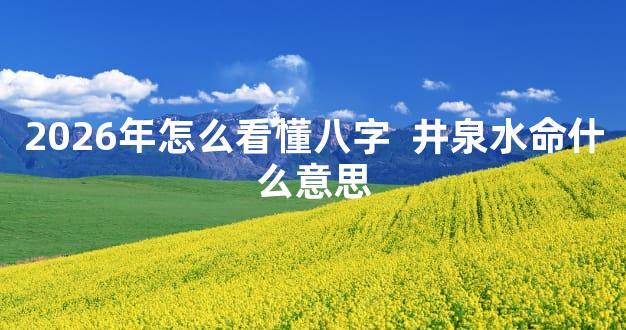 2026年怎么看懂八字  井泉水命什么意思